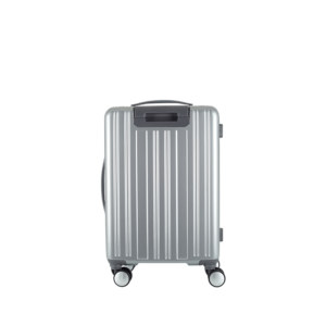 carryall_silver58_back.png
